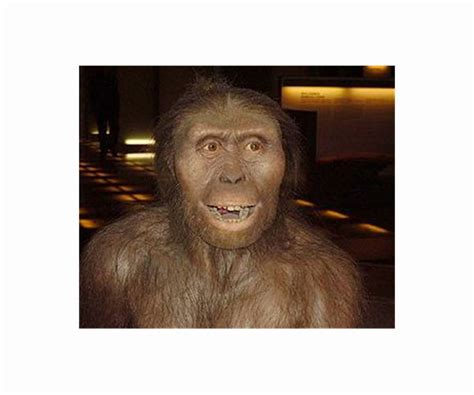 Face Of Lucy S Ancestors Revealed By 3 8 Million Year Old Hominin Skull