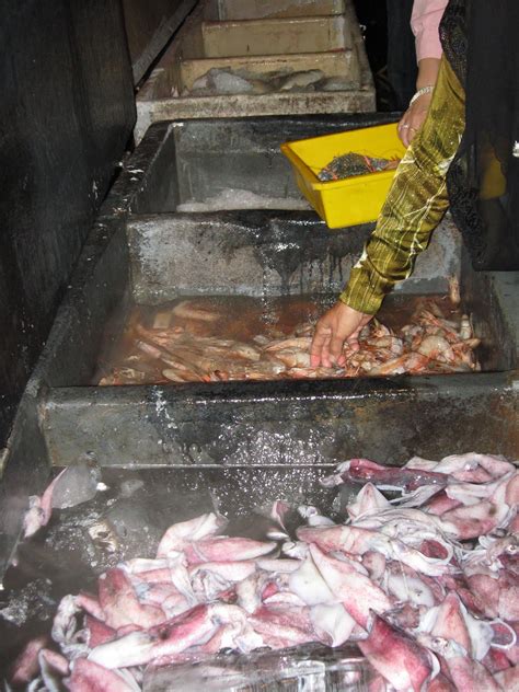 D'muara ikan bakar pernu/umbai no 1. under the Sun In the Rain: Medan Muara Ikan Bakar Tanjung ...