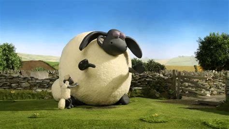 Timmy From Shaun The Sheep