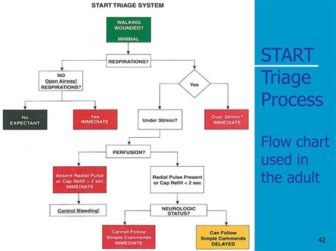 Triage Process Flow Chart