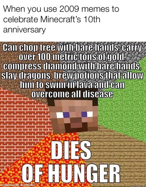 Minecraft Memes Dirty Too Much Minecraft 3