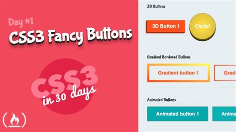 Style Fancy Buttons Css Tutorial Day 1 Of Css3 In 30 Days Youtube