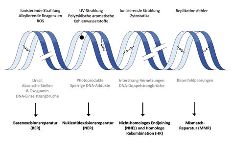 Kit Abteilung F R Lebensmittelchemie Und Toxikologie Forschung