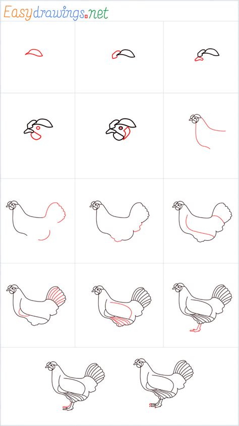 How To Draw A Hen Step By Step 14 Easy Phase
