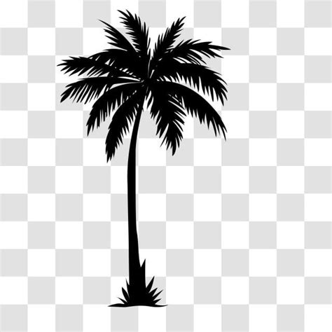 Palms Silhouette Png Free Palm Icon Isolated Palm Icons Wood Palm