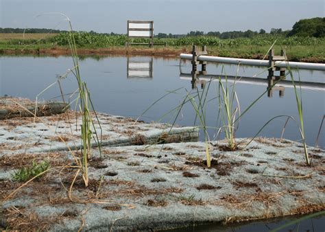 Treatment Of Human Wastewater Using Floating Wetlands Systems