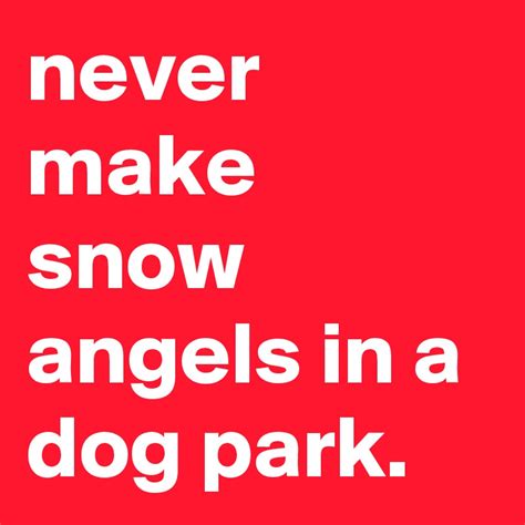 Never Make Snow Angels In A Dog Park Post By Graceyo On Boldomatic