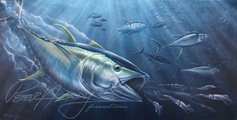 Use them in commercial designs under lifetime, perpetual & worldwide rights. Yellowfin Tuna Painting