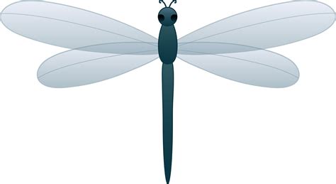 Clip Art Dragonfly Cartoon Clip Art Library