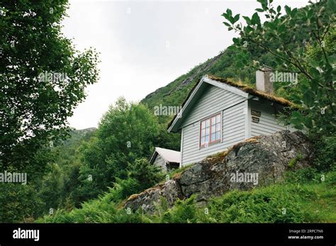 Traditional Norwegian Forest House Grass Hi Res Stock Photography And