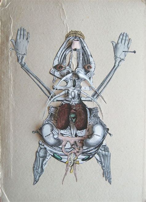 Collages Of Strange Anatomy Illustration Artist Art Design