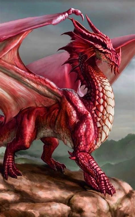 Dragon Wallpaper Best Cool Dragon Wallpapers For Android Apk Download
