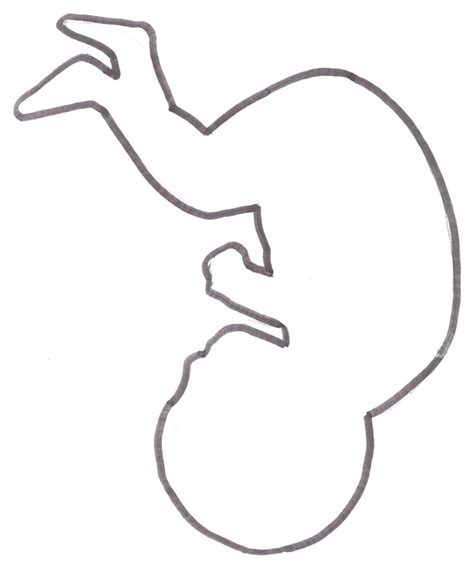 Baby Outline Drawing At Explore Collection Of Baby