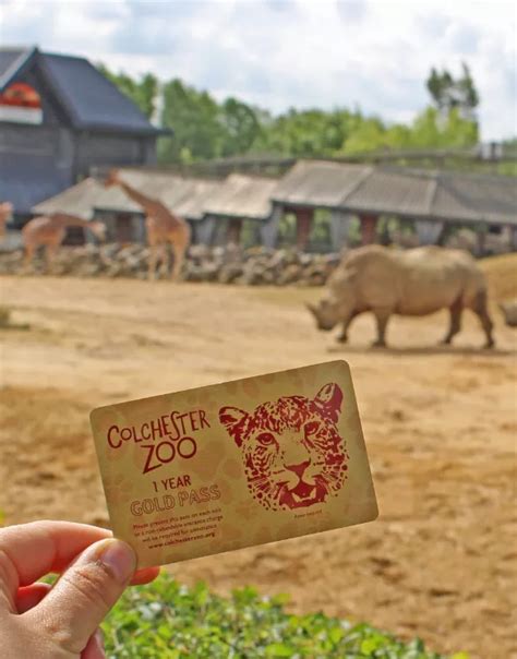 Win A Colchester Zoo Gold Pass Stibbards
