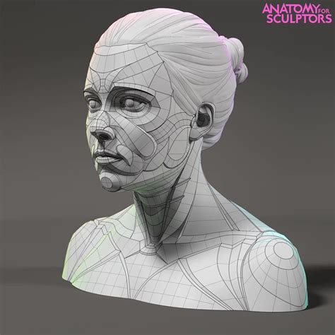 Young Woman Model Anatomy For Sculptors Human Anatomy Art Anatomy