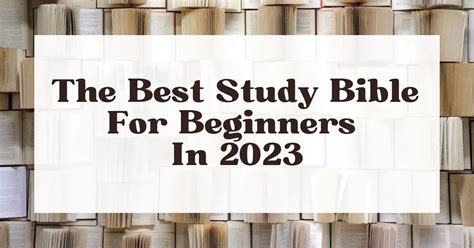 The Best Study Bible For Beginners In 2024 Top 7 Options