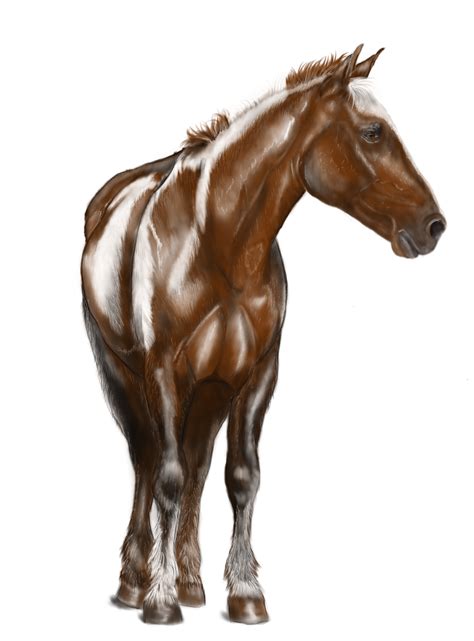 Horse By Mystery68 On Deviantart Horses Deviantart Animals