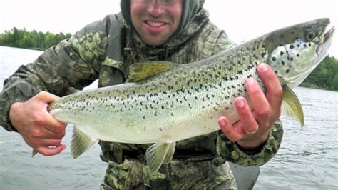 Quabbin Reservoir Landlocked Salmon Fishing Massachusetts Youtube