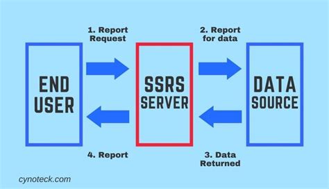 Sql Server Reporting Services Ssrs Gu A Para Principiantes Cynoteck