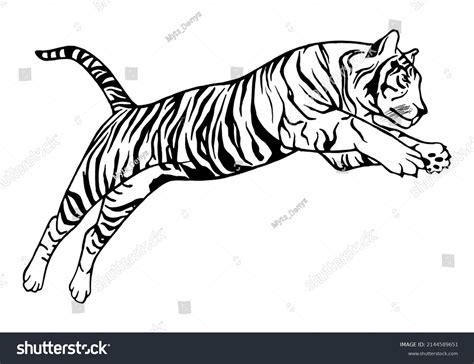 Jumping Tiger Vector Tattoo Handdrawn Illustration Stock Vector