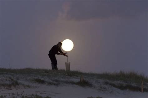 Finally Learned How To Successfully Harvest A Moon Cool Optical