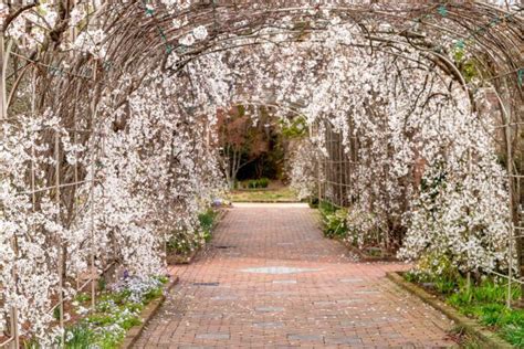 Home To 50 Acres Of Beautiful Virginia Blooms Visit Lewis Ginter