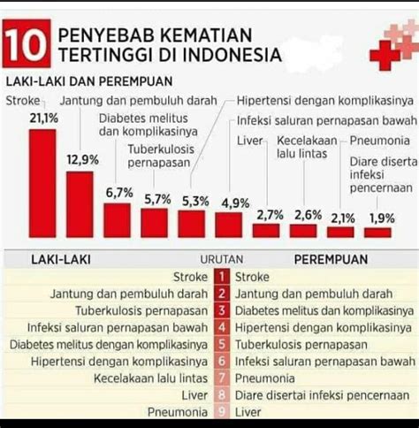 Penyakit Jantung Masih Penyebab Kematian Tertinggi Di Indonesia My