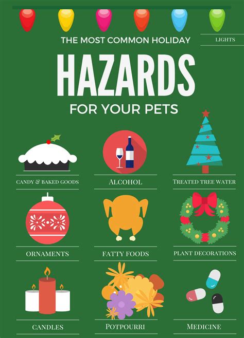 Humane Society Of Sarasota Countys Holiday Pet Safety Tips Srq Daily