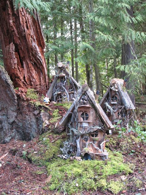 Gnome Stories At Whimsical Woods Gnome Homes On A Big Old Cedar Stump
