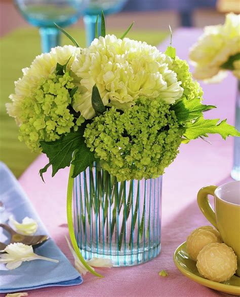 White Carnations And Viburnum Photograph By Friedrich Strauss Fine