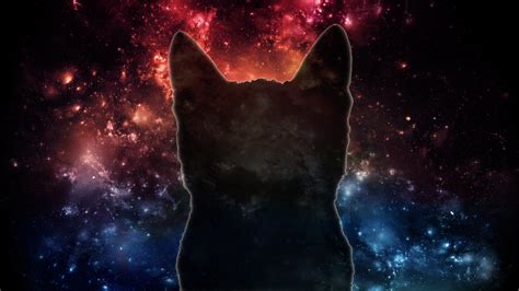 Space Cats Hd Wallpaper 78 Images