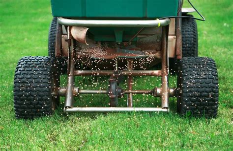 Perfect Lawn Maintenance Timing When To Fertilize Water Spray Weeds