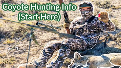 Coyote Hunting Basics Start Here Youtube