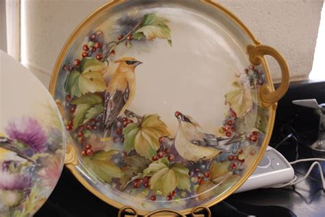 Pin By Debra Odell On Porcelain Birds China Painting Porcelain