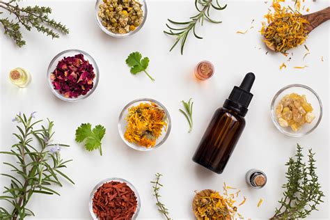 Does Naturopathic Medicine Really Work Your Naturopathy Questions