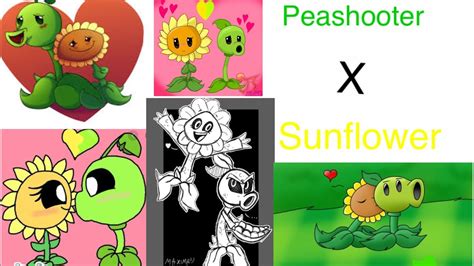 44 Evil Peashooter X Sunflower Pictures Bondi Bathers