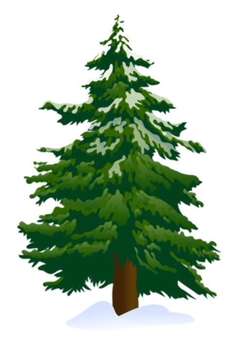 Download High Quality Pine Tree Clipart Vector Transparent Png Images