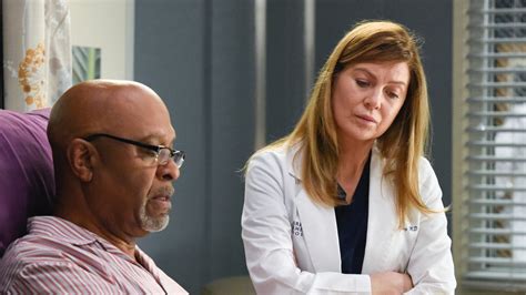 6 Greys Anatomy Reddit Theories That Explain How The Series Could End