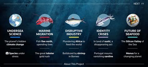 Ocean Shock Climate Crisis Beneath The Waves The Big Picture