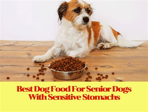 Sensitive stomach dog food serves to make your canine with an upset stomach healthy and happy. Best Dog Food For Senior Dogs With Sensitive Stomachs ...
