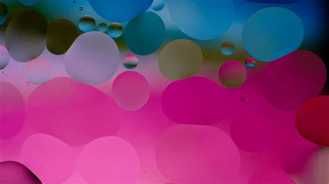 Download Wallpaper 2560x1440 Circles Bubbles Shapes Gradient
