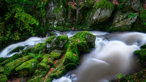 Water Stream On Greenery Rock 4k Hd Nature Wallpapers Hd