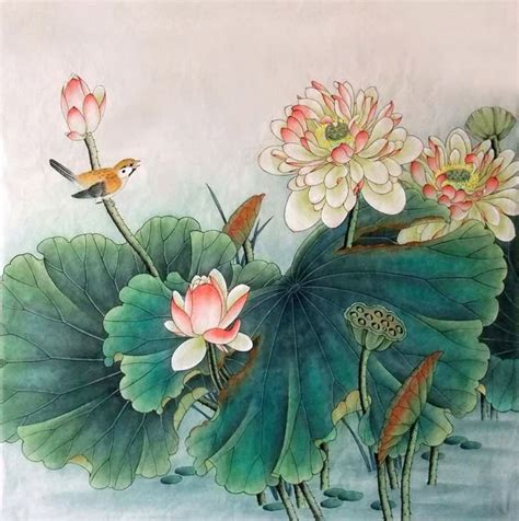Chinese Lotus Painting Lotus 2352018 69cm X 69cm27〃 X 27〃