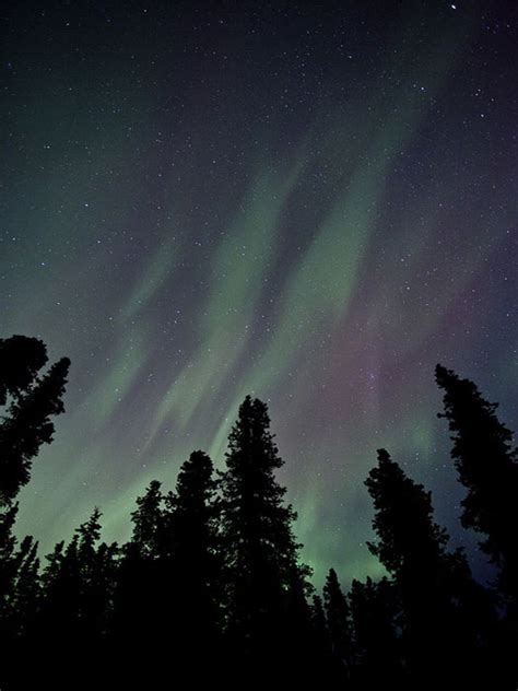 Behold The Northern Lights In Alaska Cheapflights