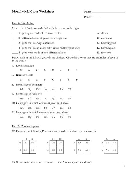 30 Genetics Problems Worksheet 1 Answer Key Worksheets Decoomo