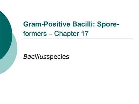 Ppt Gram Positive Bacilli Spore Formers Chapter 17 Powerpoint
