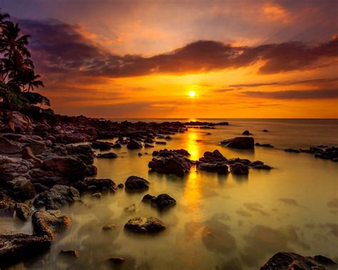 Sunset Tropical Sea Coast Palm Rocks Stones Sky With Yellow Red Glow