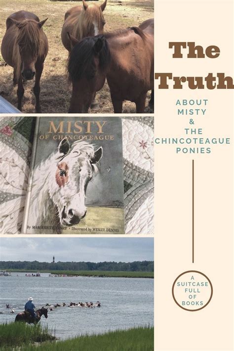 The Truth About Misty Of Chincoteague — A Suitcase Full Of Books