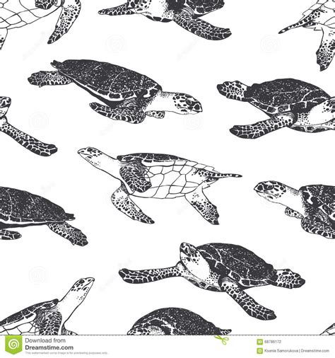 Seamless Pattern Ocean Turtle Black And White Stock Vector