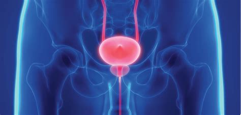 What Are The Long Term Side Effects Of Prostate Cancer Treatment Cancer Health